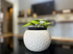 Interior Decorations